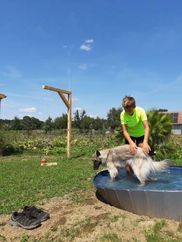 Ferienhaus Eos In Der "steirischen Toskana" Straden
