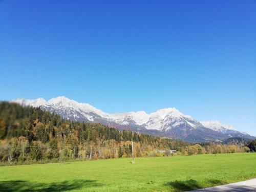 Apartamento Appartement Nani