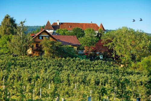 Hostal Landhaus Grete