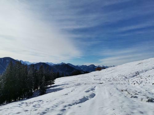 Ferienhaus Bergfrieden Laterns Auf 1.170 M