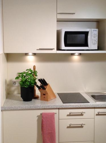 Apartamento Wellnessapartment Alpenland Top 22