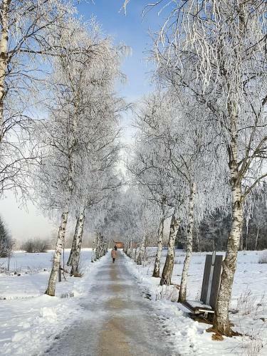 Apartementhaus Sch�ndorfer