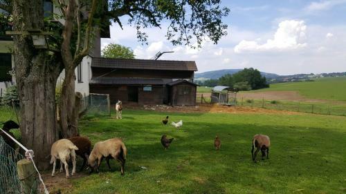 Agroturismo Pension Zenzlgut