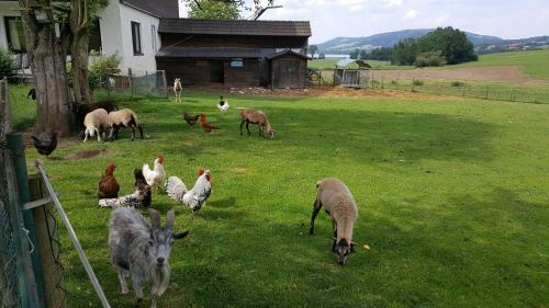 Agroturismo Pension Zenzlgut
