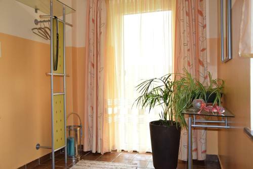 Apartamento Appartement Stichauner