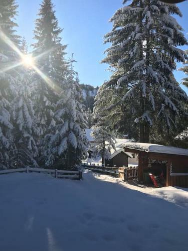 Alpenchalet Im Steirischen Salzkammergut