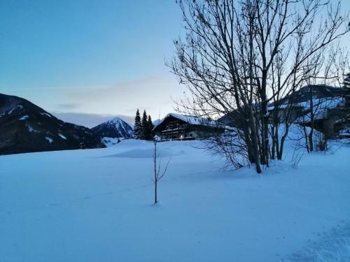 Apartamento Sonniges Platzl Zur Ehrlichen Kuh