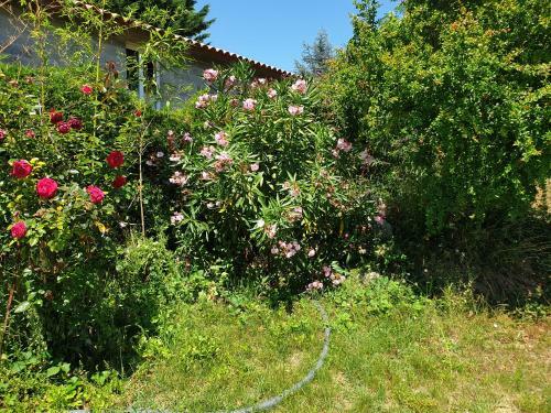 La Maison Du Bonheur � 15mn De Toulouse