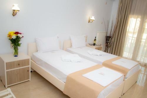 Hotel Astron