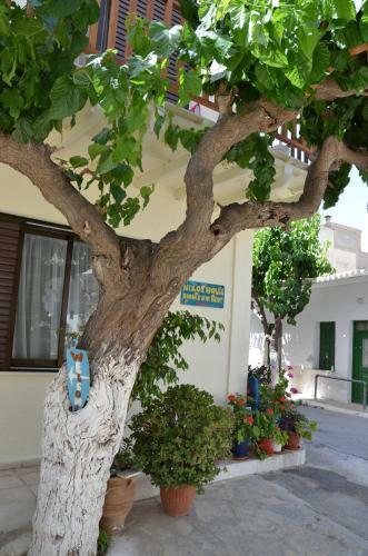 Nikos House New Comfort Apartm And Studio