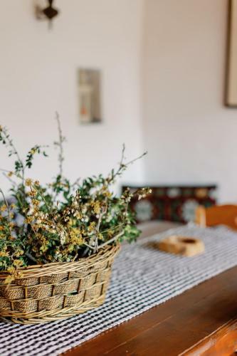 Apartamento Archontiko Rapti Stone Traditional House