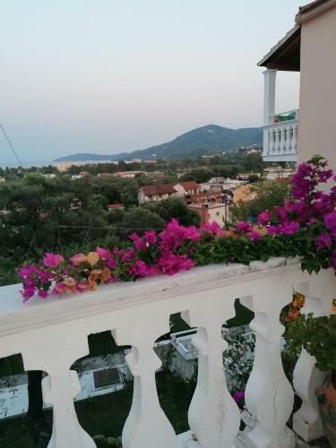 Hotel Panorama