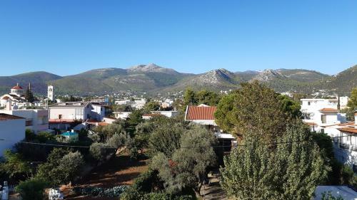 Apartamento Studio Anlia
