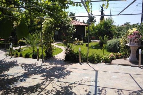 Villa Viktoria Halkidiki