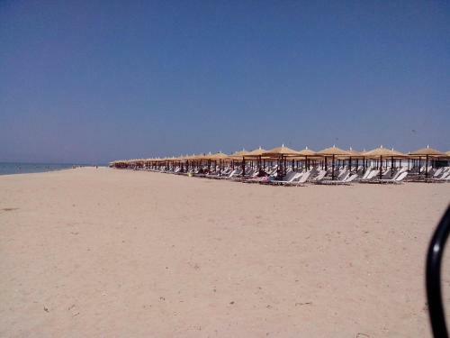Apartment 60m From Sea!