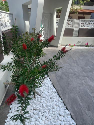 Apartamento Aretousa - Center Luxury Suites 1