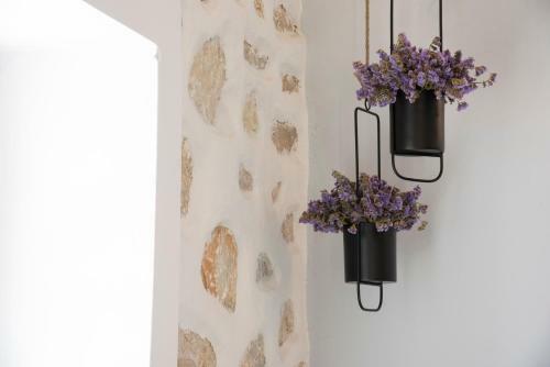 Kyma Seafront Brand New 2bd House In Naousa