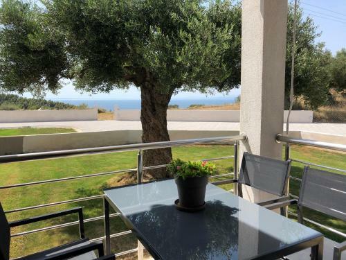 Alikon Adult Only Apartments