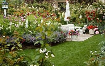 Bed & Breakfast Mill Rose Inn