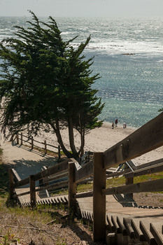 Bed & Breakfast Seal Cove Inn