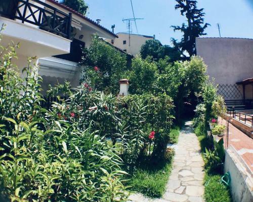 Family's Summer House
