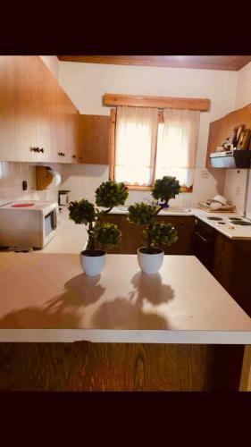 Apartamento Charoula Pavliani Fthiotidas