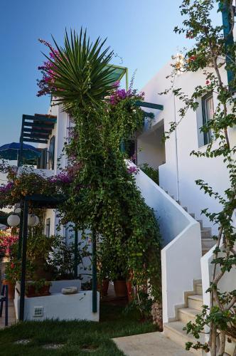 Konaki Studios & Apartments