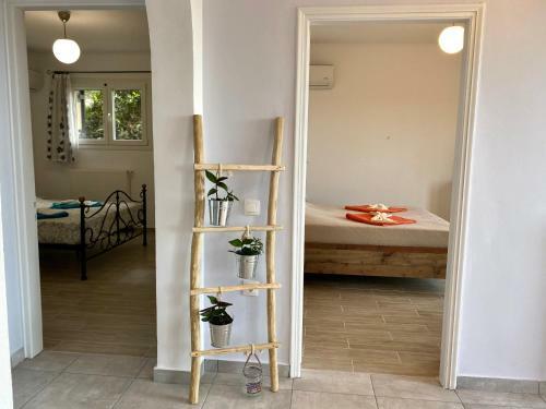 Coralli Pentati 2 "dimitris Apartments"