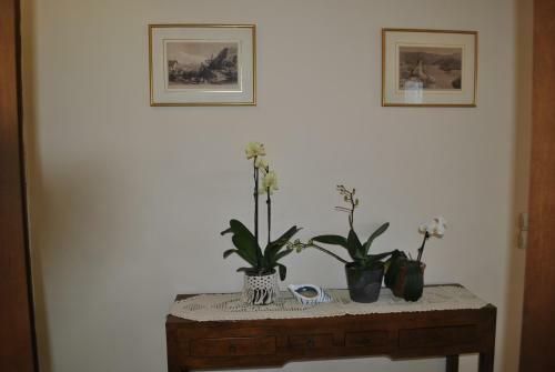 Apartamento Amaryllis House