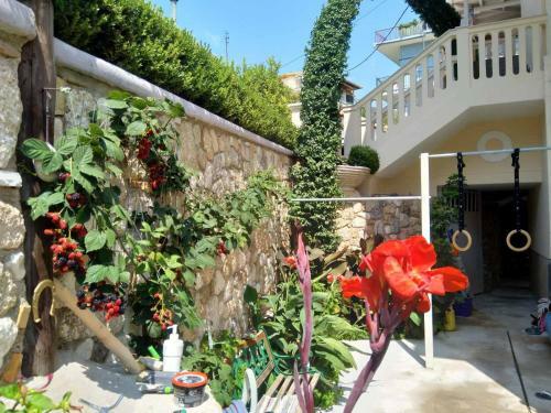 Hostal Valentino House