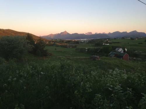 Apartment With Amazing View Close To Leknes.