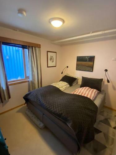 Apartment With Amazing View Close To Leknes.