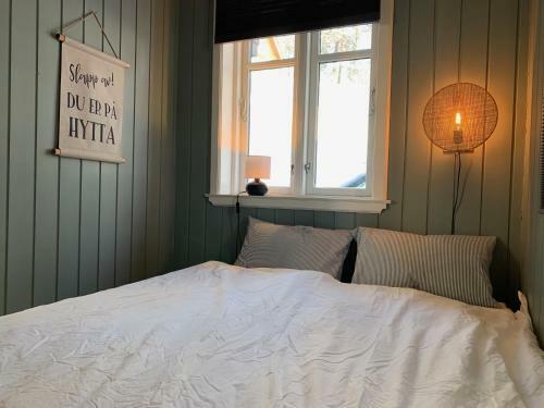 Lemonsj�en-jotunheimen-besseggen