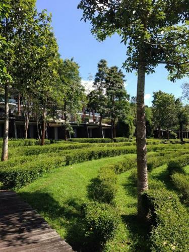 Hotel My Sweet Home@chiangmai