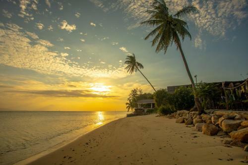 Hotel Absolute Beach Villas