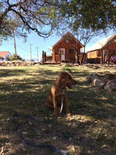 Posada Katie's Cozy Cabins