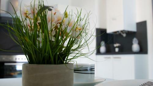 Apartamento Haus Ren�