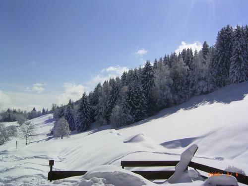 Apartamento Landhof Schober