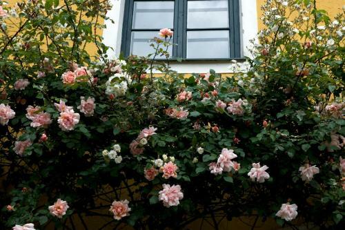 Bed & Breakfast Marienschl�ssl