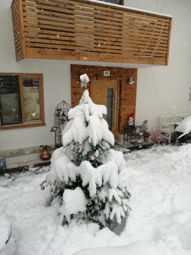Apartamento Ferienwohnung Fabiella
