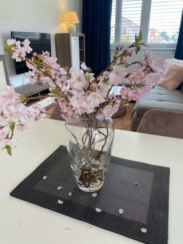 Apartm�n Lu?nice T?ebo?