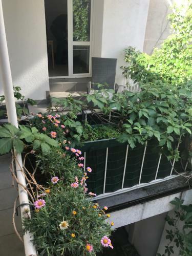 Apartamento Fima 1020