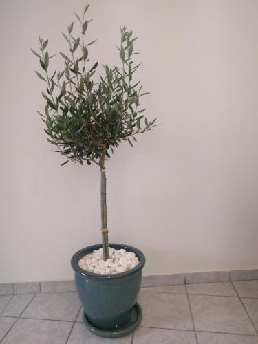 Apartamento 1 Min. To Sandy Beach, Calm, Spacious, Central Apt.