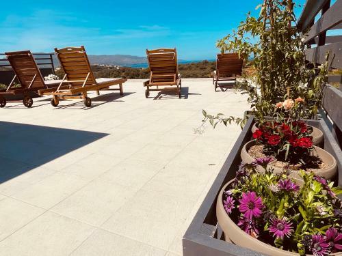 Villa Phaedra House For Relaxing Holidays Away From Home