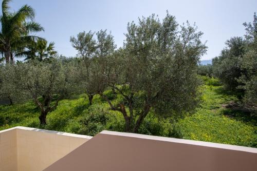 Villa Elisabeth View