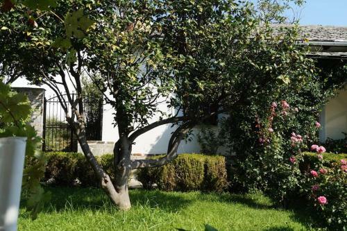 Villa Katia With Sea View, Pourion, Zagora