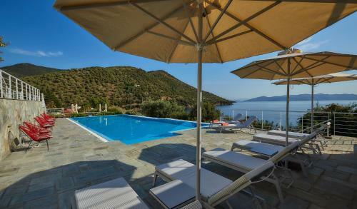 Villa Olivia Sports And Sea