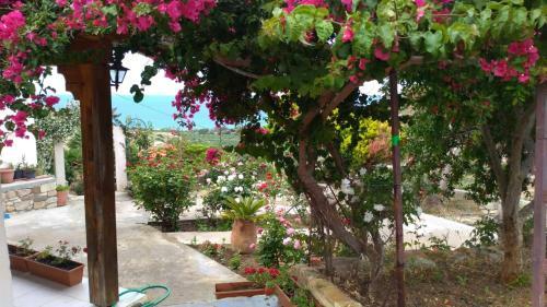 Villa Anna's Family House