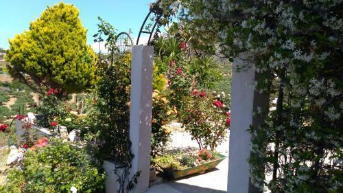 Villa Anna's Family House