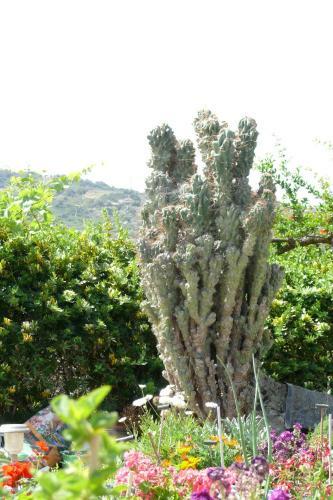 Agroturismo Countryside Apartment
